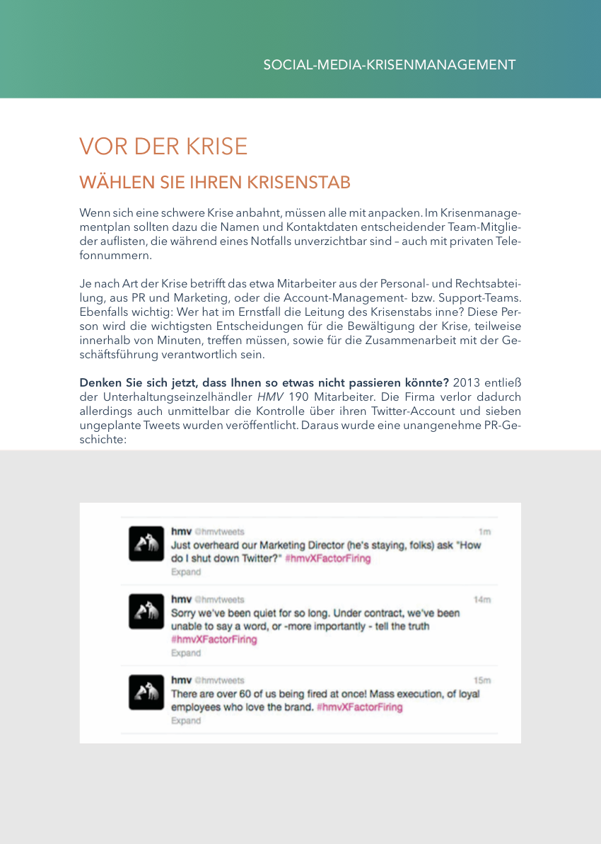 Social-Media-Krisenmanagement E-Book Preview 3