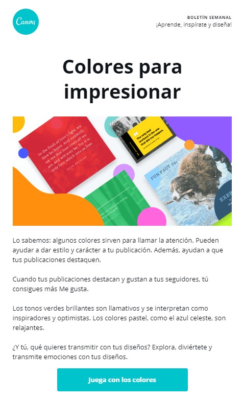Ejemplo de newsletter: Canva