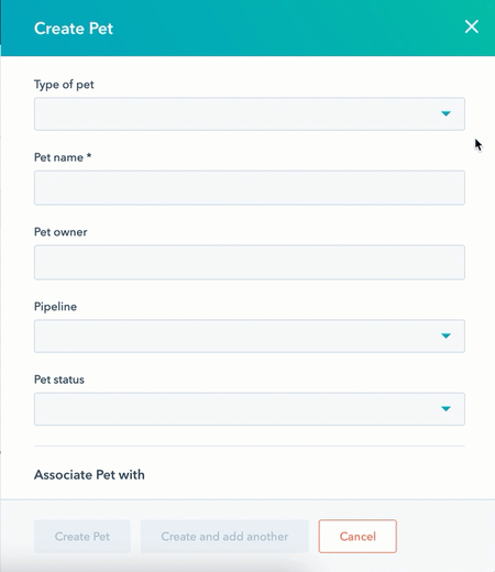 create-custom-object-record