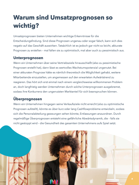 Umsatzprognosen-Screenshot-2